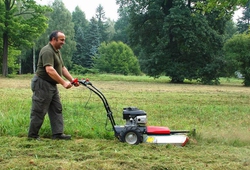 KEMP BREZINA 39.jpg