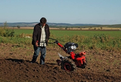 Kemp orby Velke Bilovice_07.jpg