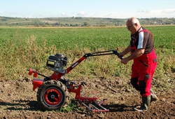 Kemp orby Velke Bilovice_11.jpg