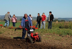 Kemp orby Velke Bilovice_08.jpg