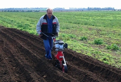 Kemp orby Velke Bilovice_48.jpg