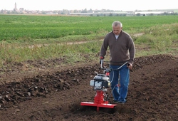Kemp orby Velke Bilovice_41.jpg
