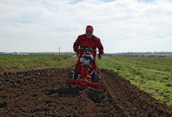 Kemp orby Velke Bilovice_46.jpg