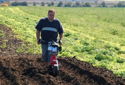 Kemp orby Velke Bilovice_22.jpg