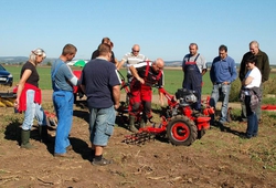 Kemp orby Velke Bilovice_10.jpg