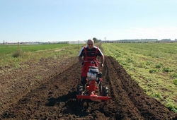 Kemp orby Velke Bilovice_19.jpg