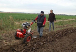 Kemp orby Velke Bilovice_53.jpg