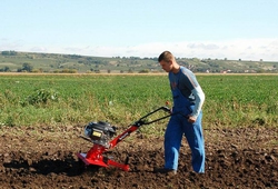 Kemp orby Velke Bilovice_12.jpg