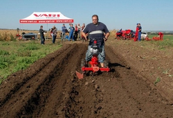 Kemp orby Velke Bilovice_20.jpg