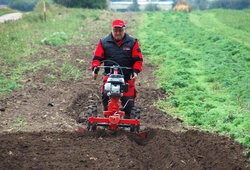 Kemp orby Velke Bilovice_55.jpg
