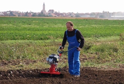 Kemp orby Velke Bilovice_43.jpg