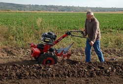 Kemp orby Velke Bilovice_38.jpg