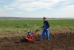 Kemp orby Velke Bilovice_44.jpg
