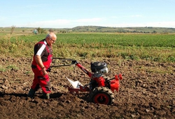 Kemp orby Velke Bilovice_03.jpg
