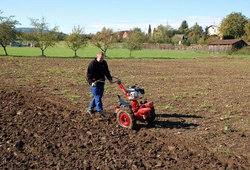kemp orby Trinec_35.jpg