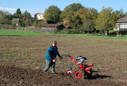 kemp orby Trinec_33.jpg