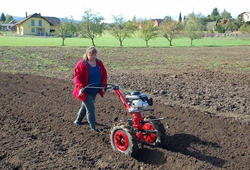 kemp orby Trinec_50.jpg