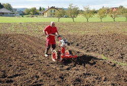 kemp orby Trinec_42.jpg