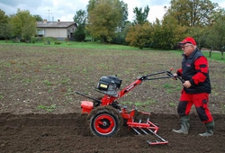 kemp orby Trinec_20.jpg