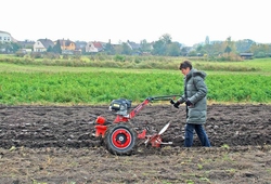 Kemp pudnich praci Libice 2012_07.jpg