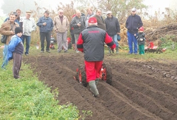 Kemp pudnich praci Libice 2012_65.jpg