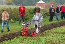 Kemp pudnich praci Libice 2012_33.jpg