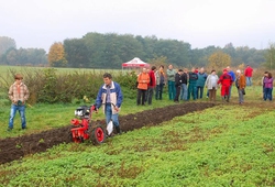Kemp pudnich praci Libice 2012_34.jpg