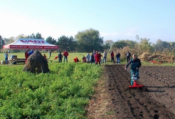 Kemp pudnich praci Libice 2012_45.jpg