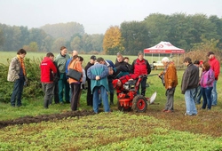 Kemp pudnich praci Libice 2012_30.jpg