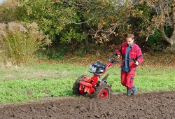 Kemp pudnich praci Libice 2012_13.jpg