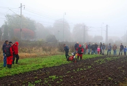 Kemp pudnich praci Libice 2012_53.jpg