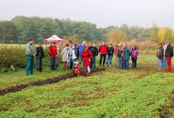 Kemp pudnich praci Libice 2012_31.jpg