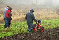 Kemp pudnich praci Libice 2012_55.jpg