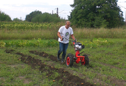 Malotraktor VARI Global při vyorávání brambor