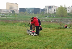 Honda day 10.jpg