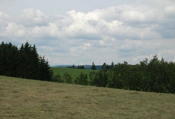 Resize of DSC_7321.jpg