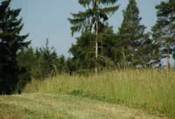Resize of DSC_6977.jpg