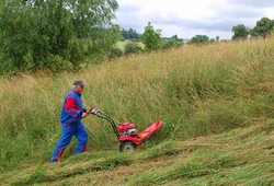 Kemp sečení Troskovice 11.7.2013
