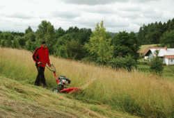 The BDR-650A drum mower at work