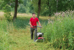 F-550B brush cutter with mulching blade at work