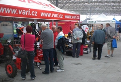 FLORIA KROMERIZ_ LETO 2013 14.jpg