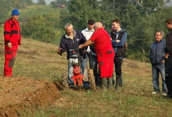 Kemp BZENEC_37.jpg