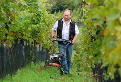 F-550B brush cutter with mulching blade at work