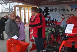 Floria Kromeriz podzim 2013 21.jpg