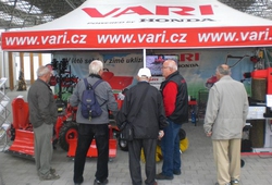 Floria Kromeriz podzim 2013 13.jpg