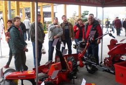 Floria Kromeriz podzim 2013 20.jpg