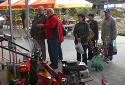 Floria Kromeriz podzim 2013 11.jpg