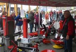 Floria Kromeriz podzim 2013 23.jpg