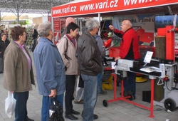 Floria Kromeriz podzim 2013 09.jpg