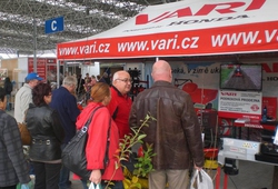 Floria Kromeriz podzim 2013 10.jpg